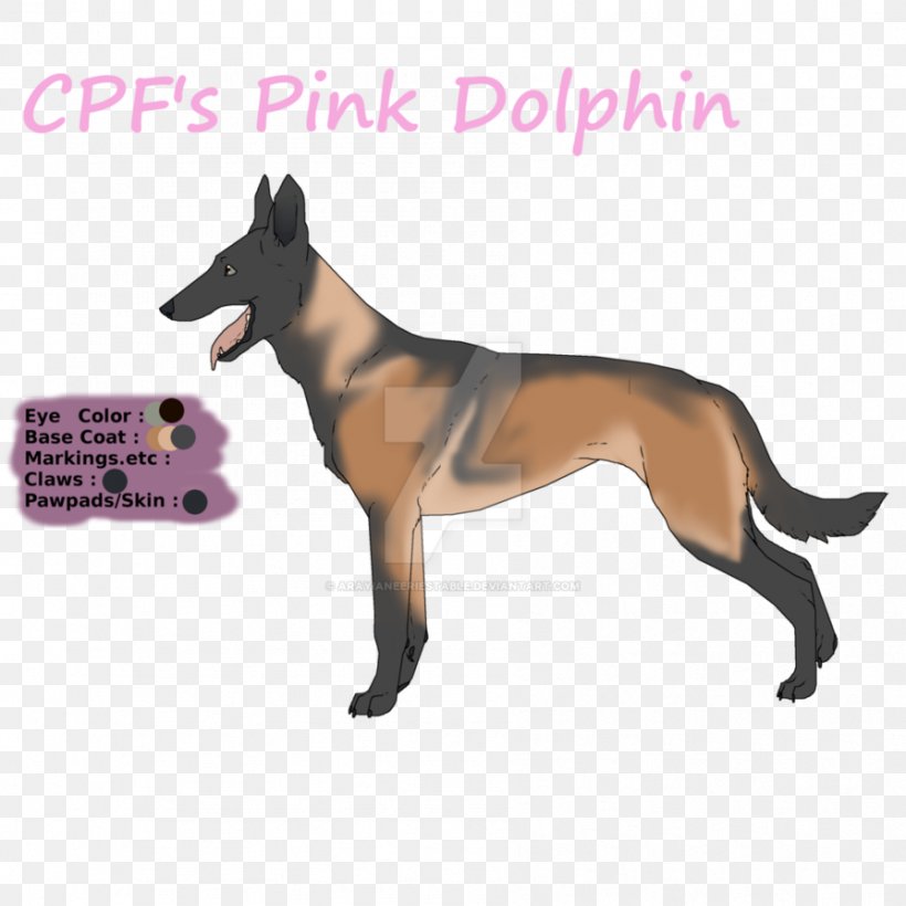 Dog Breed Leash Australia Snout, PNG, 894x894px, Dog Breed, Australia, Baking, Breed, Carnivoran Download Free