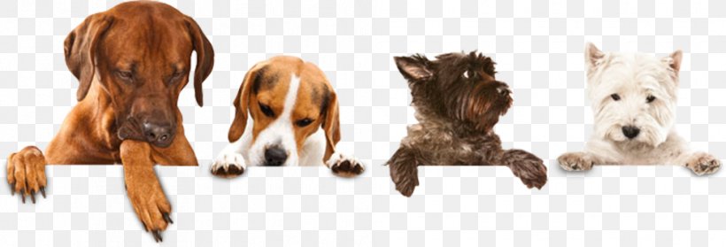 Dog Walking Pet Sitting Puppy Dog Grooming, PNG, 990x337px, Dog, Animal Figure, Breed, Carnivoran, Dog Breed Download Free