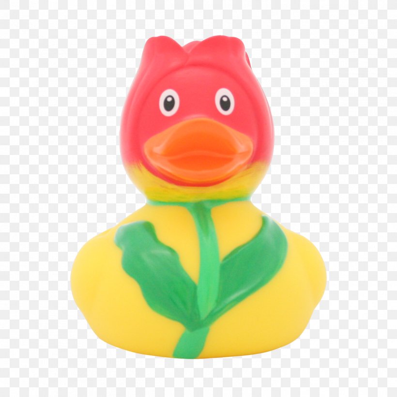 Domestic Duck Rubber Duck Bathtub Duck Store Barcelona, PNG, 1417x1417px, Duck, Adhesive Tape, Amsterdam Duck Store, Animal Figure, Bathroom Download Free