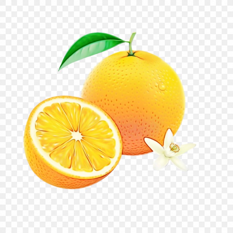 Orange, PNG, 1024x1024px, Watercolor, Citric Acid, Citrus, Fruit, Grapefruit Download Free
