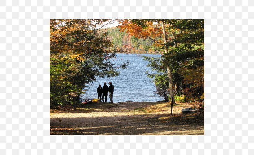 Shore State Park Landscape Nature, PNG, 500x500px, Shore, Autumn, Bank, Grass, Land Lot Download Free