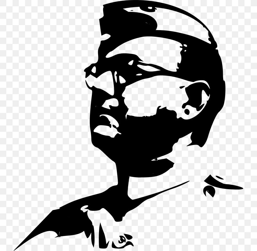 The Indian Struggle Indian Independence Movement Azad Hind Jayanti Indian National Army, PNG, 733x800px, Indian Struggle, Art, Artwork, Azad Hind, Birth Download Free