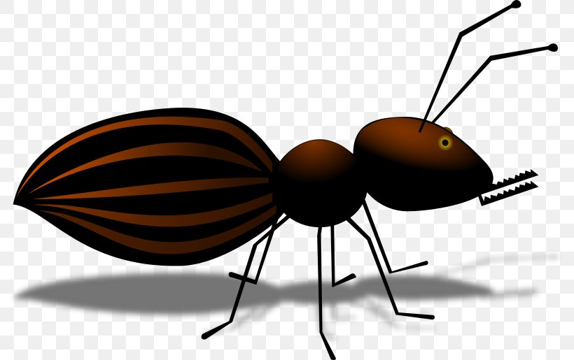 Ant Insect Cartoon Clip Art, PNG, 800x515px, Ant, Arthropod, Black Garden Ant, Cartoon, Fly Download Free