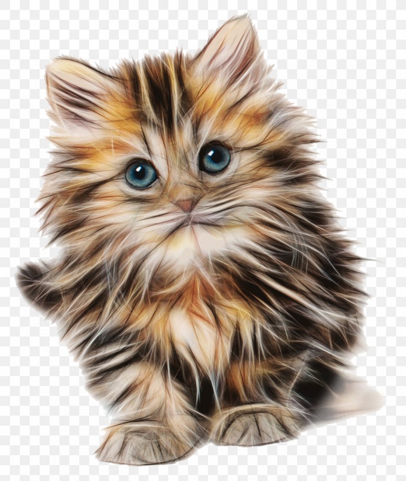 Cute Kitten, Drawing, PNG, 936x1110px, Cat, American Curl, British Semi Longhair, Calico Cat, Carnivoran Download Free