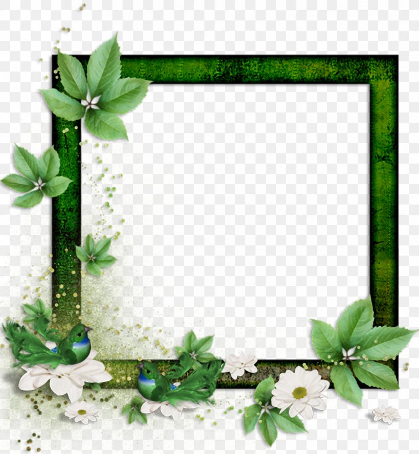 Clip Art Image Borders And Frames Bobux, PNG, 838x908px, Borders And Frames, Bobux, Drawing, Interior Design, Ivy Download Free