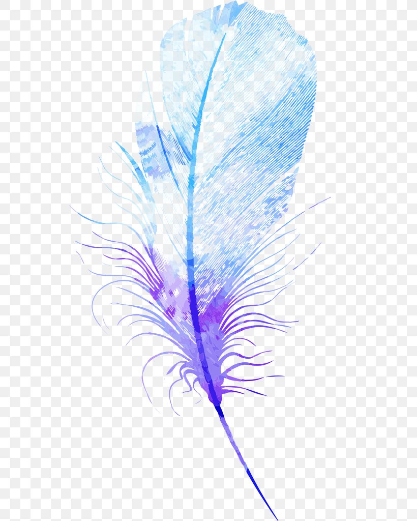 Feather Euclidean Vector, PNG, 551x1024px, Feather, Blue, Color, Drawing, Purple Download Free