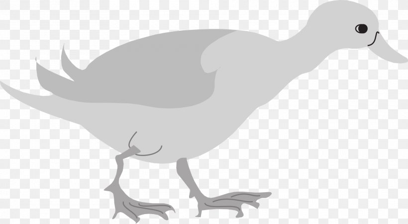 Goose Duck Cygnini Bird Waterfowl, PNG, 1920x1058px, Goose, Anatidae, Animal, Artwork, Beak Download Free