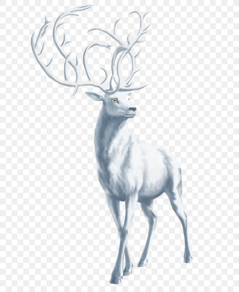 Red Deer Elk Reindeer Antler, PNG, 648x1000px, Deer, Animal, Antler, Art, Black And White Download Free