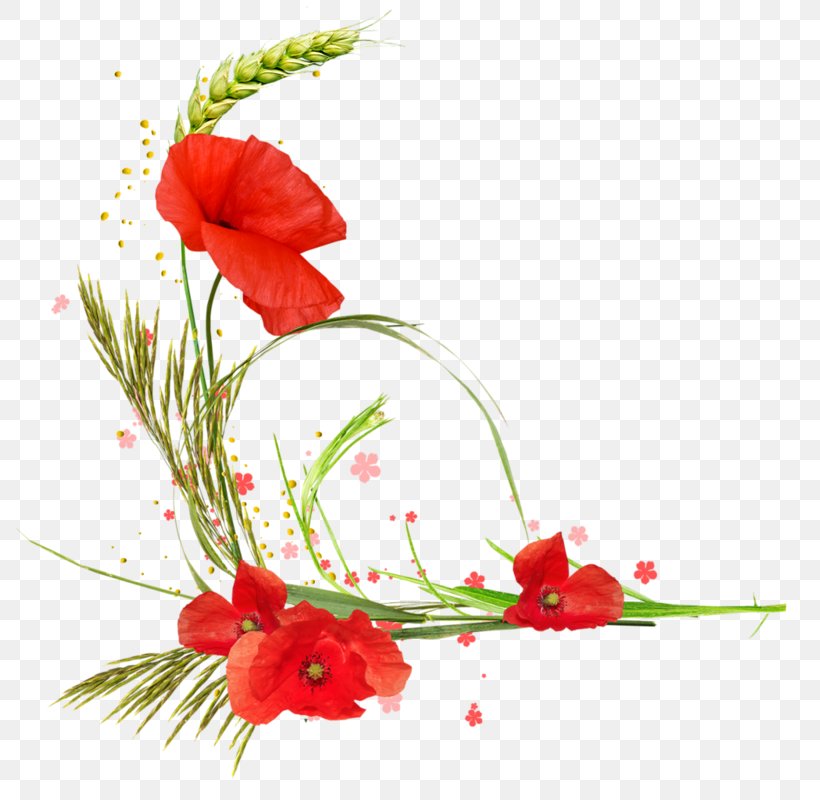 Common Poppy Floral Design Flower Clip Art, PNG, 789x800px, Poppy, Artificial Flower, Common Poppy, Coquelicot, Cut Flowers Download Free