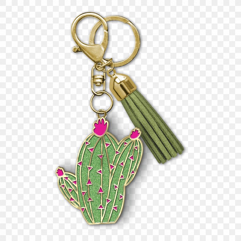 Key Chains Metal Lobster Clasp Locket, PNG, 1200x1200px, Key Chains, Barrel Cactus, Body Jewelry, Cactaceae, Fashion Accessory Download Free
