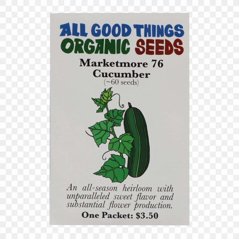 Organic Certification Genovese Basil Holy Basil Herb, PNG, 1200x1200px