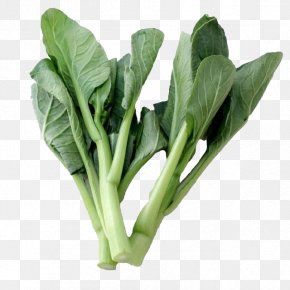 Cabbage - Choy Sum Chard Cabbage Cruciferous Vegetables PNG