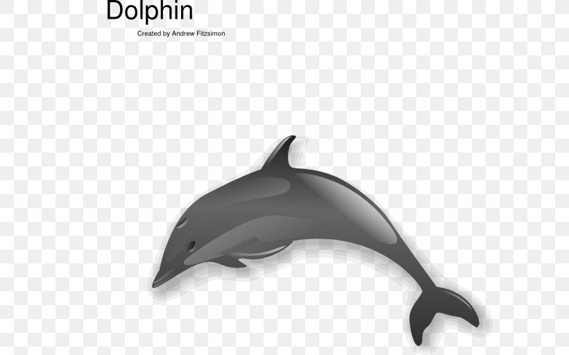 Common Bottlenose Dolphin Short-beaked Common Dolphin Tucuxi White-beaked Dolphin Clip Art, PNG, 600x512px, Common Bottlenose Dolphin, Australian Humpback Dolphin, Bottlenose Dolphin, Chinese White Dolphin, Dolphin Download Free