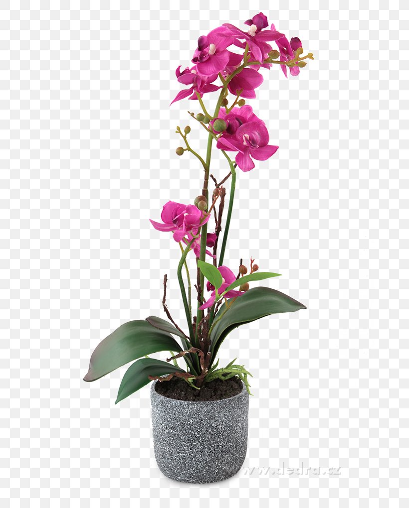 Moth Orchids Flowerpot Cut Flowers, PNG, 680x1020px, Moth Orchids, Artificial Flower, Candle, Cattleya, Cattleya Orchids Download Free