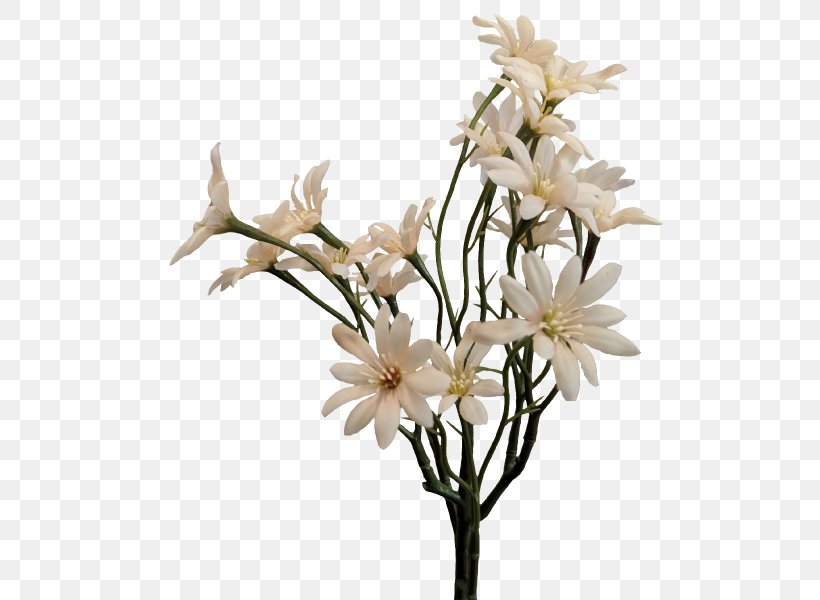 Sea Aster Cut Flowers Artificial Flower Plant Stem, PNG, 800x600px, Sea Aster, Anemone, Artificial Flower, Aster, Black And White Download Free