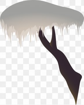 Fir-tree - Silhouette Finger Clip Art PNG