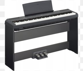 Piano - Yamaha P-115 Yamaha Corporation Digital Piano Stage Piano PNG