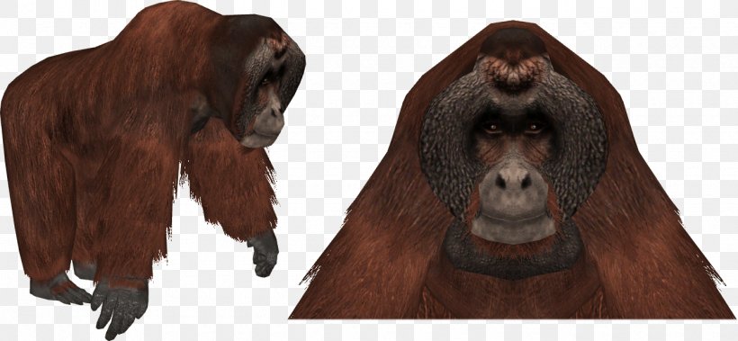 Zoo Tycoon 2 Gorilla Chimpanzee Bornean Orangutan, PNG, 1330x615px, Zoo Tycoon 2, Animal, Ape, Bornean Orangutan, Chimpanzee Download Free
