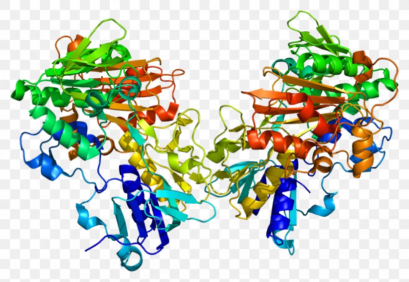 AIFM1 Apoptosis-inducing Factor Flavin Adenine Dinucleotide Protein, PNG, 970x670px, Watercolor, Cartoon, Flower, Frame, Heart Download Free