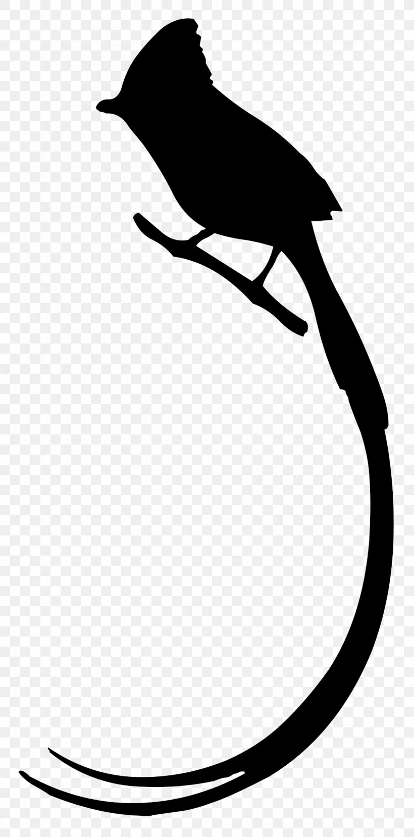 Bird Long Tail Silhouette Owl Clip Art, PNG, 1150x2325px, Bird, Artwork, Beak, Bird Nest, Bird Of Prey Download Free