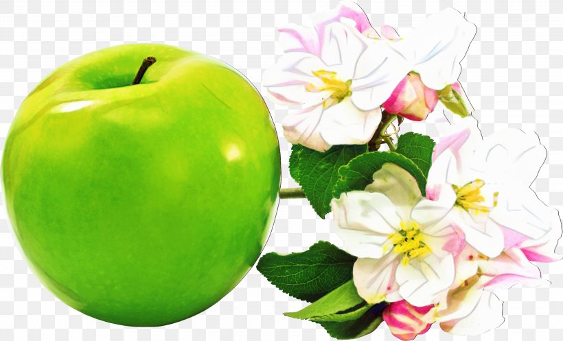 Green Flower, PNG, 2992x1819px, Granny Smith, Apple, Blog, Daum, Diet Download Free