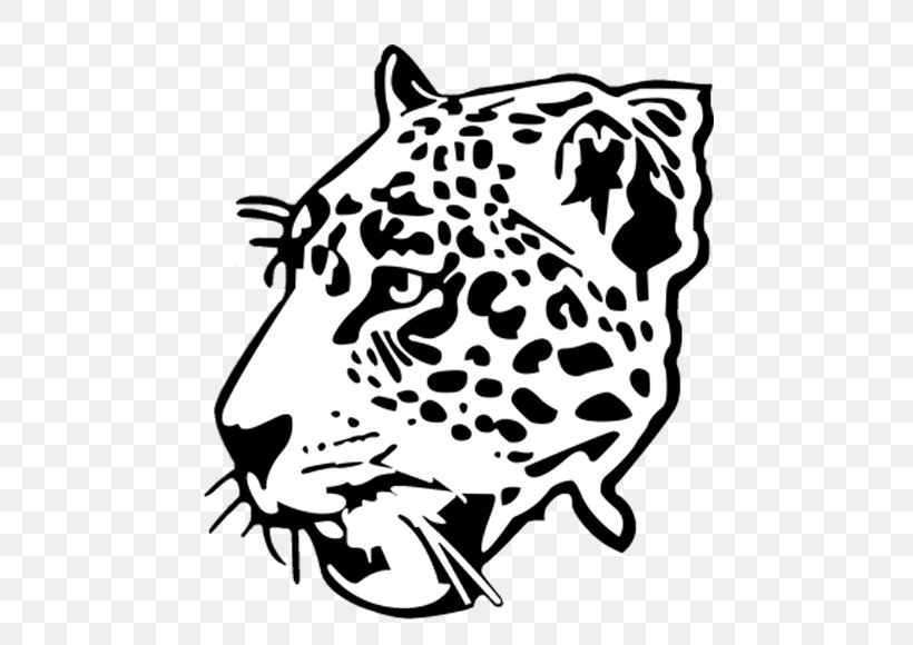 Jaguar West Florida High School Leopard Tiger Cheetah, PNG, 770x580px, Jaguar, Big Cats, Black, Black And White, Carnivoran Download Free