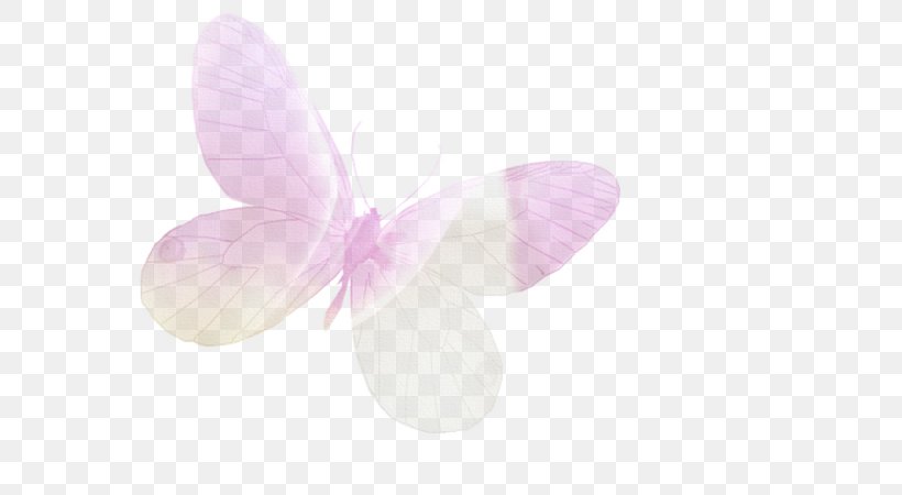 Pink M RTV Pink, PNG, 600x450px, Pink M, Butterfly, Insect, Invertebrate, Lilac Download Free