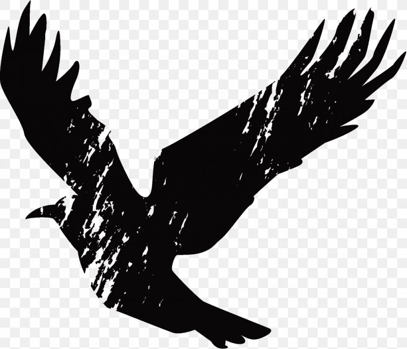 Raven Halloween Crow, PNG, 1026x880px, Raven, Beak, Bird, Bird Of Prey, Blackandwhite Download Free