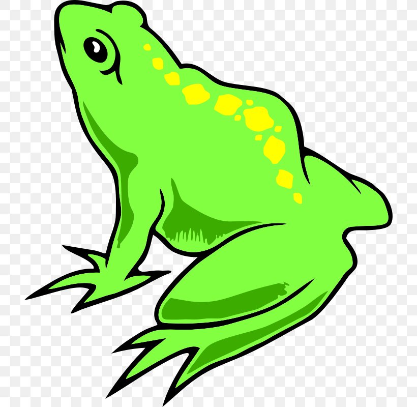 True Frog Clip Art Amphibians Edible Frog, PNG, 724x800px, Frog, Amphibian, Amphibians, Animal, Animal Figure Download Free