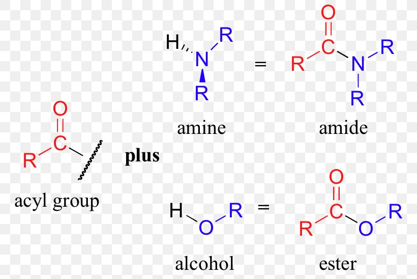 Amide Amine Functional Group Acyl Group Ester, PNG, 780x548px, Amide, Acyl Group, Alcohol, Amine, Area Download Free