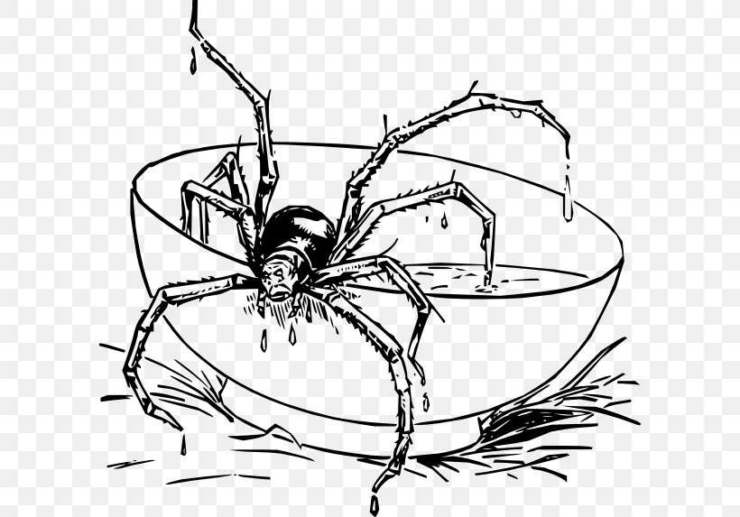 Widow Spiders Eight Legs Insect Arthropod, PNG, 600x573px, Spider, Arachnid, Araneus, Arthropod, Black Widow Download Free