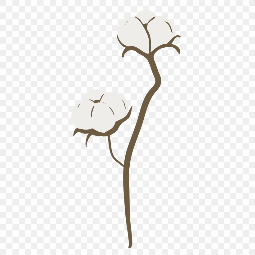 Algodon Vector, PNG, 1500x1499px, Cotton, Branch, Flower, Leaf, Petal Download Free