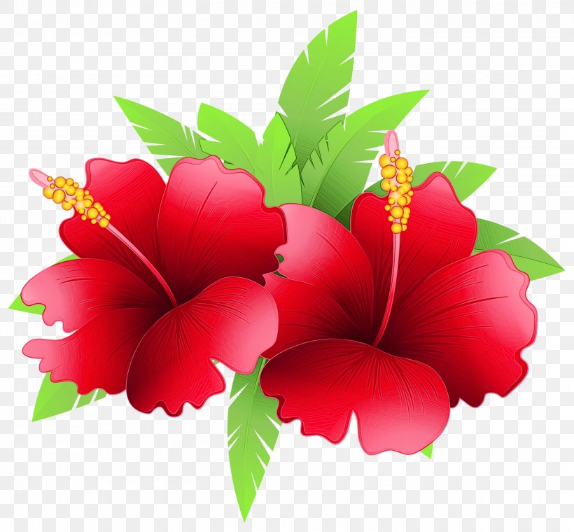 Floral Flower Background, PNG, 3000x2781px, Shoeblackplant, Annual Plant, Artificial Flower, Floral Design, Flower Download Free