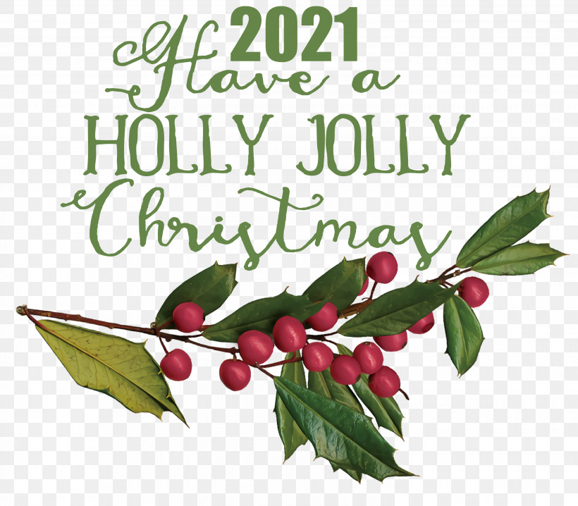 Holly Jolly Christmas, PNG, 3000x2628px, Holly Jolly Christmas, Aquifoliales, Bauble, Biology, Christmas Day Download Free