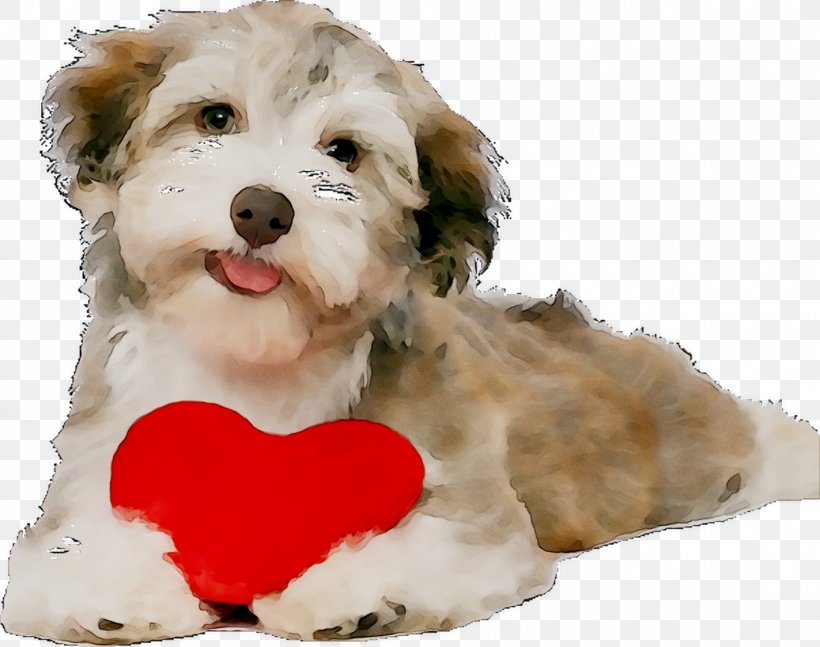 Jigsaw Puzzles Eurographics Euro Graphics Dog With Heart Mini Puzzle (EUGR781) Ponyhof. Puzzle 100 Teile XXL, PNG, 1423x1124px, Jigsaw Puzzles, Canidae, Carnivore, Cavachon, Companion Dog Download Free