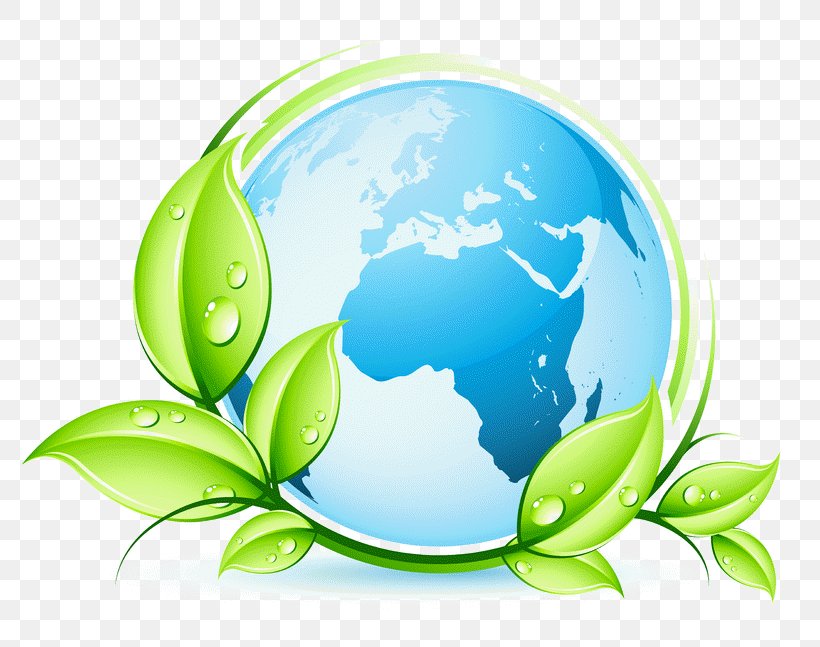 Natural Environment Global Warming Ecology Human Impact On The Environment Earth, PNG, 800x647px, Natural Environment, Conservation, Earth, Ecology, Environmental Degradation Download Free