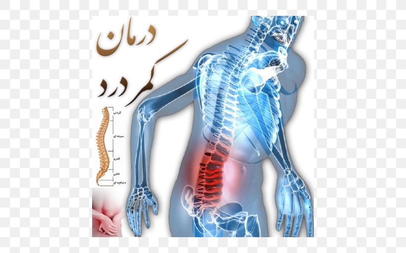 Pain In Spine Lumbar Disc Herniation Low Back Pain Vertebral Column, PNG, 512x512px, Watercolor, Cartoon, Flower, Frame, Heart Download Free