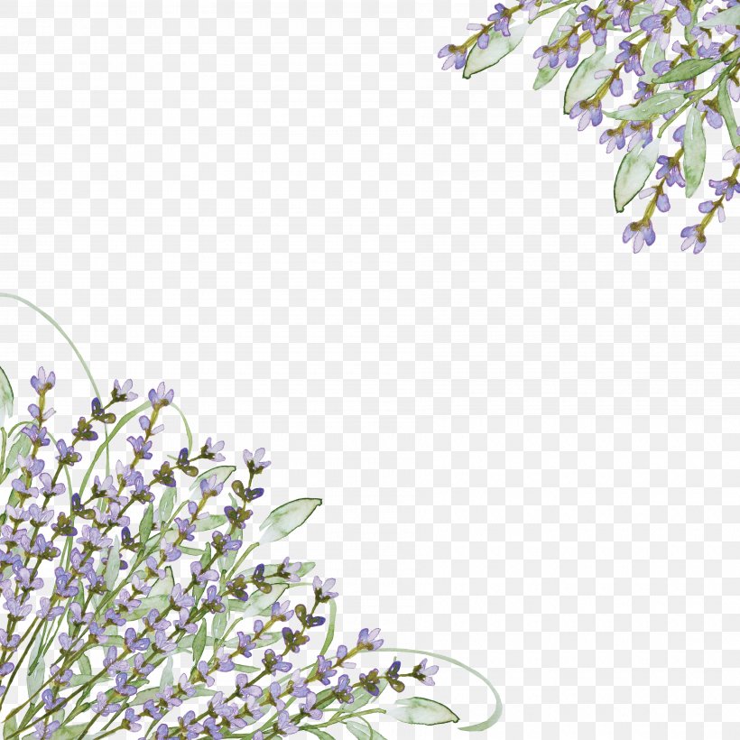 Wedding Invitation Lavender Purple Flower Clip Art, PNG, 3600x3600px, Wedding Invitation, Art, Color, Floral Design, Flower Download Free