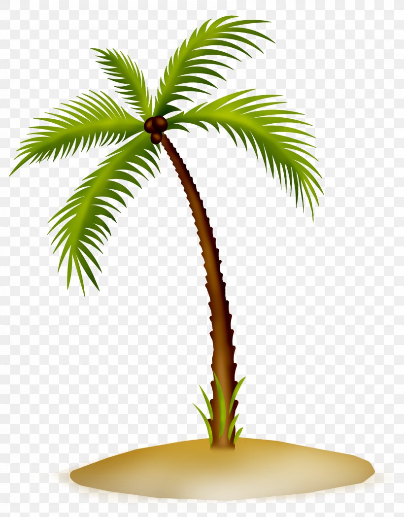 Arecaceae Asian Palmyra Palm Date Palm Flowerpot Coconut, PNG, 1800x2304px, Arecaceae, Arecales, Asian Palmyra Palm, Borassus, Borassus Flabellifer Download Free