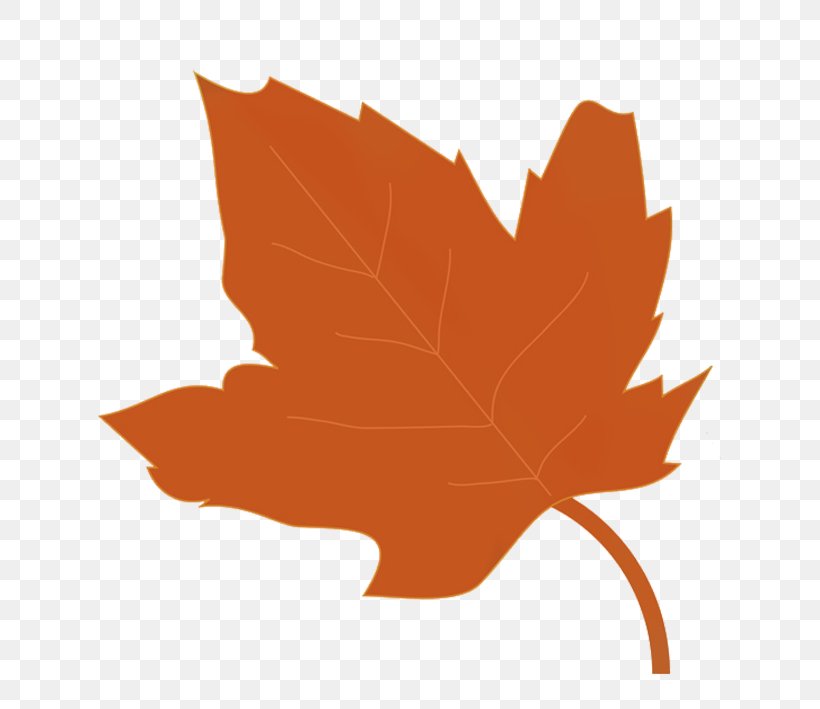 Autumn Leaf Color Clip Art, PNG, 624x709px, Leaf, Autumn, Autumn Leaf Color, Blog, Drawing Download Free