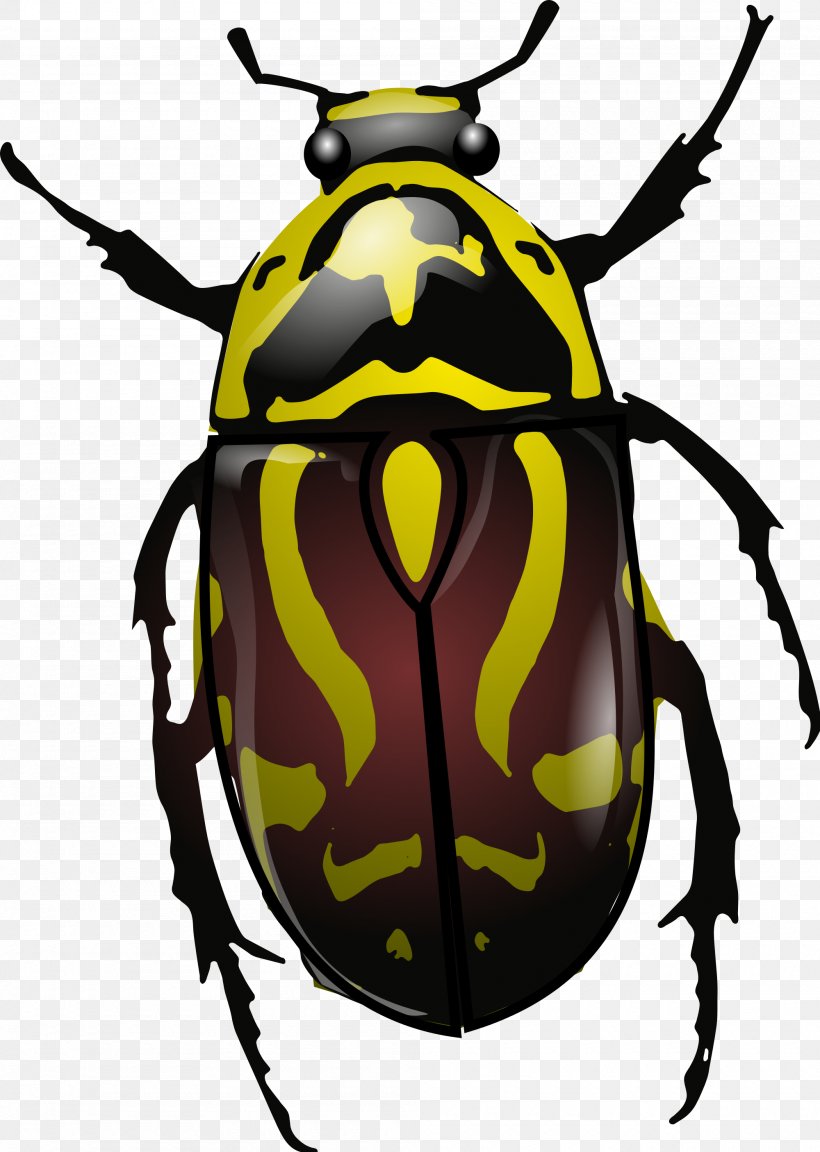 Beetle Eupoecila Australasiae, PNG, 2000x2812px, Beetle, Ambrosia Beetle, Arthropod, Byte, Colorado Potato Beetle Download Free