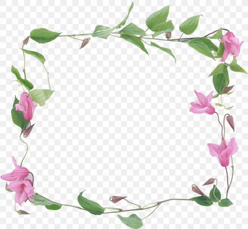 Conte Tea Picture Frames Flower Floral Design, PNG, 1623x1500px, Conte, Blossom, Branch, Cooking, Flora Download Free