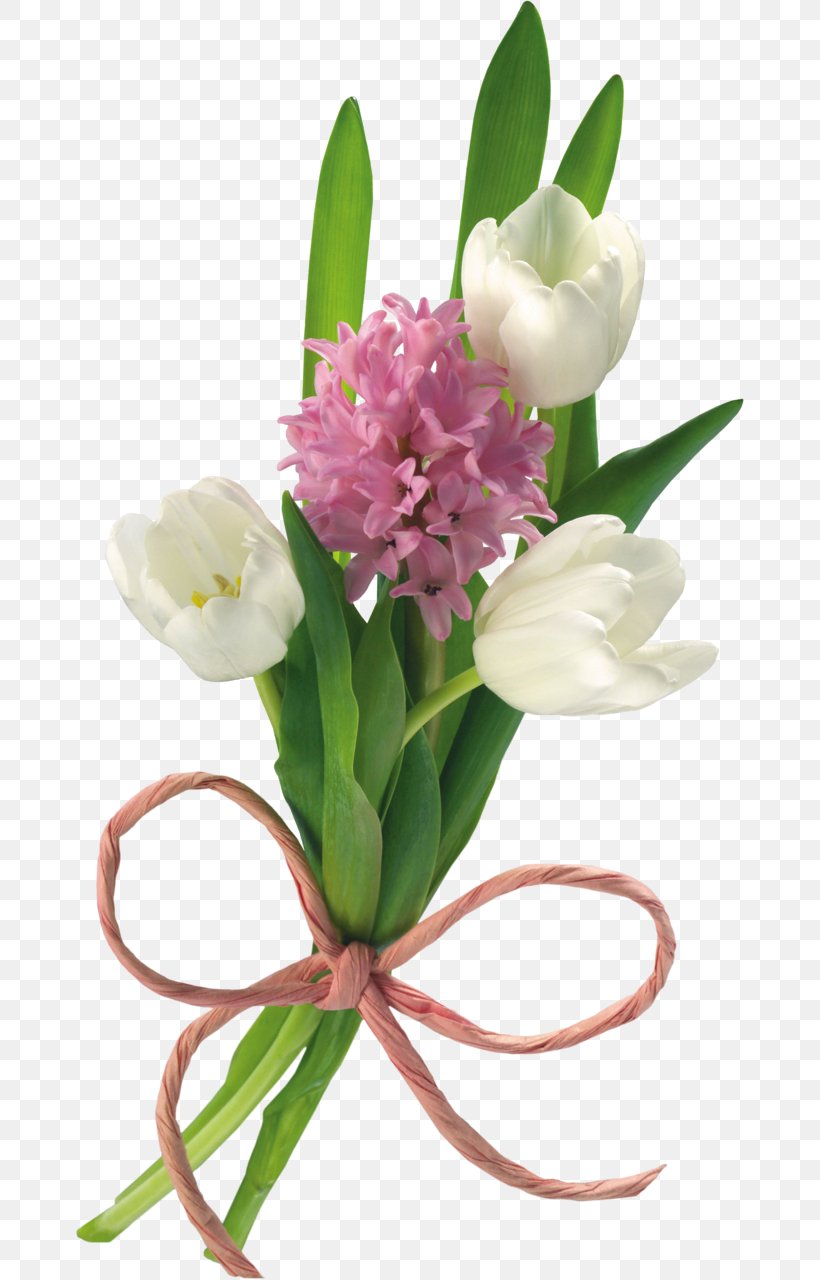 Desktop Wallpaper Tulip Flower Clip Art, PNG, 669x1280px, Tulip, Cut Flowers, Floral Design, Floristry, Flower Download Free