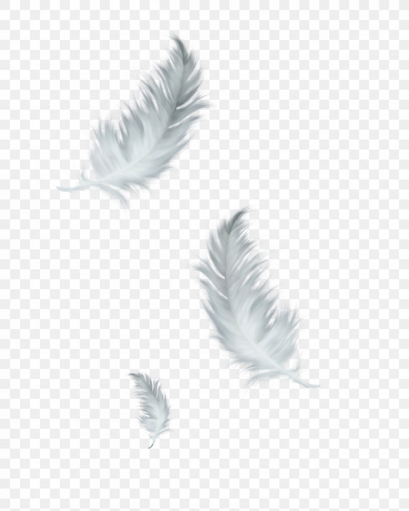 Feather, PNG, 1200x1500px, Watercolor, Feather, Paint, Plant, Quill Download Free