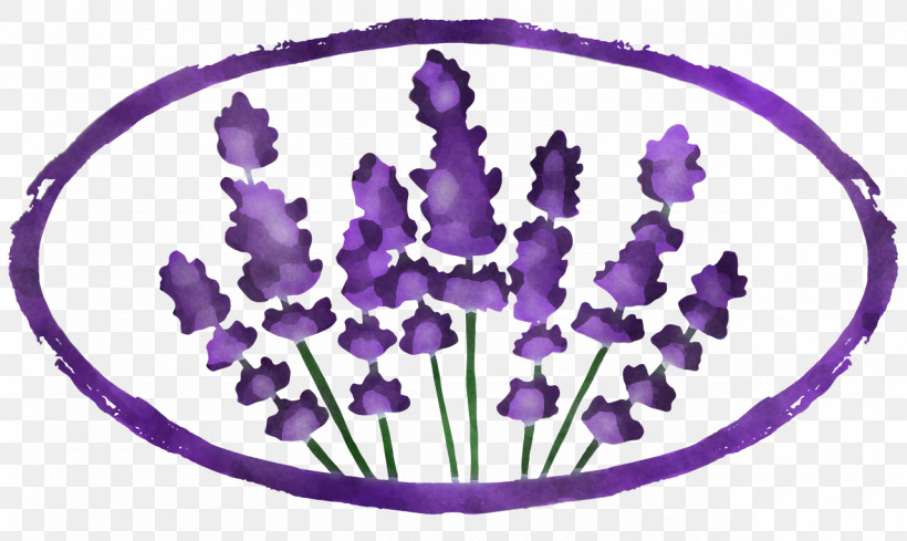 Lavender, PNG, 1280x764px, Homeopathy, Color, Lavender, Medicine, Naturopathy Download Free