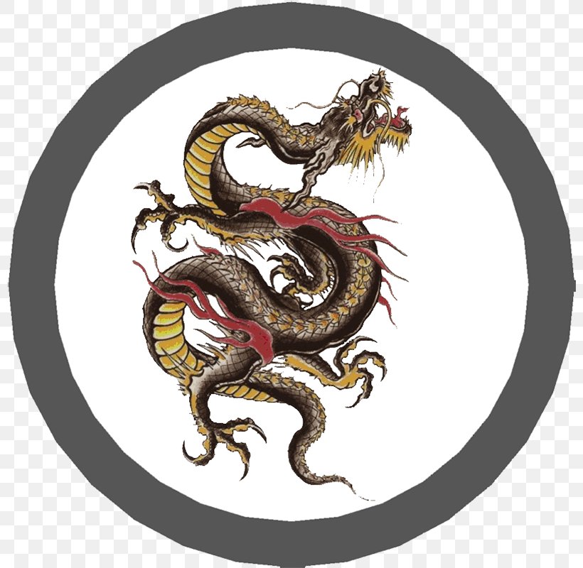 China Chinese Dragon Drawing Japanese Dragon, PNG, 800x800px, China, Chinese Dragon, Dragon, Drawing, Fenghuang Download Free