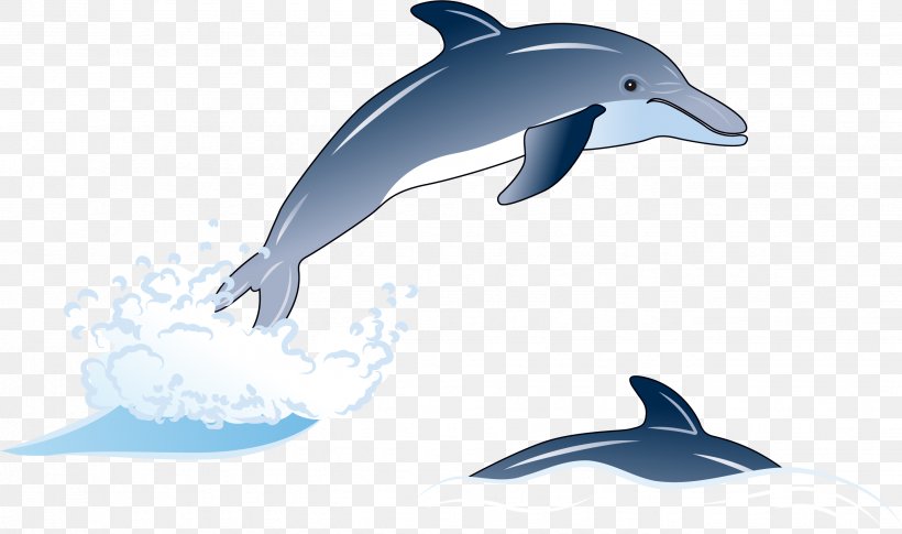 Common Bottlenose Dolphin Short-beaked Common Dolphin Rough-toothed Dolphin Tucuxi White-beaked Dolphin, PNG, 2676x1586px, Common Bottlenose Dolphin, Dolphin, Drawing, Fauna, Fin Download Free