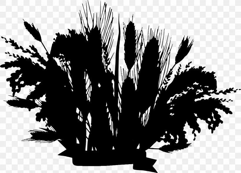Grasses Commodity Font Silhouette Leaf, PNG, 8589x6170px, Grasses, Arecales, Blackandwhite, Branching, Commodity Download Free