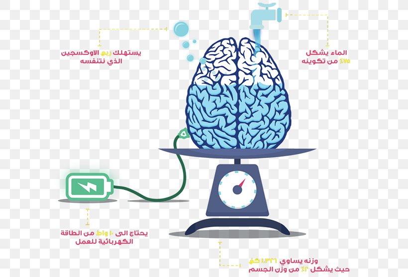 Human Brain Anatomy Artificial Brain, PNG, 600x557px, Watercolor, Cartoon, Flower, Frame, Heart Download Free