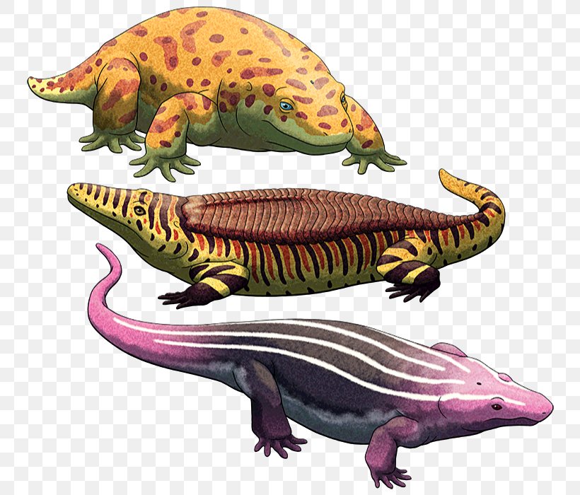 Reptile Lepospondyli Dinosaur Temnospondyli Reptiliomorpha, PNG, 766x700px, Reptile, Amphibian, Animal, Carnivoran, Chroniosuchus Download Free